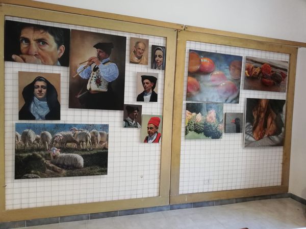 Domus Collective Exhibition