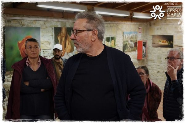 DOMUS: The Museum in the Museum