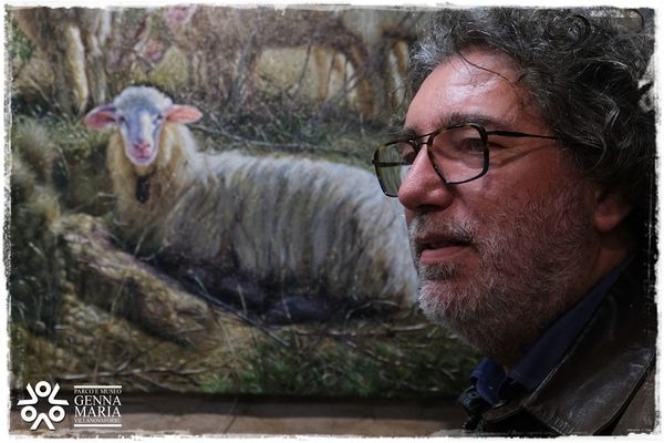 DOMUS: The Museum in the Museum