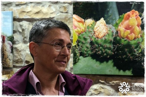 DOMUS: The Museum in the Museum