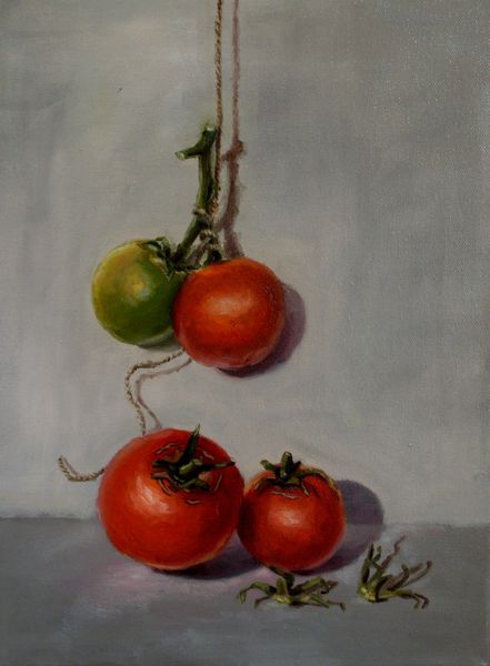 Hanging Tomatoes