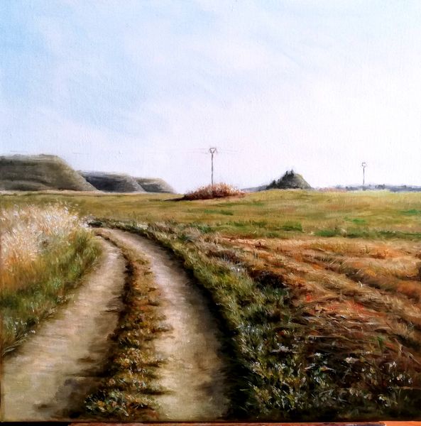 Pathway Through Fields